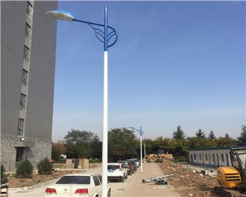 市電路燈-陜西省西安市西北大學(xué)長安校區(qū)路燈工程
